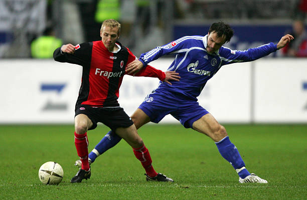 多样化对手 多样化对手