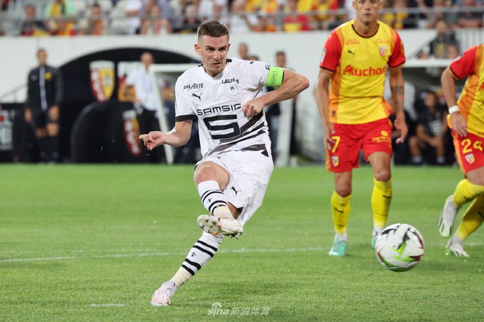 黄蜂有机会 黄蜂有机会